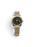 Poedagar - JUBILEE 910 (Black Gold)